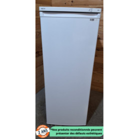 Congélateur Armoire PROLINE UFZ170