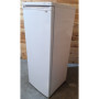 Congélateur Armoire PROLINE UFZ170